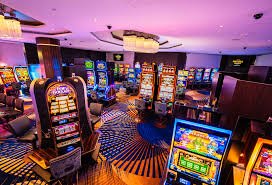 Dashboard Program Loyalitas dolantogel 888 menampilkan saldo poin dan tier keanggotaan